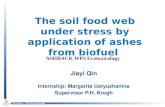 The soil food web under stress by application of ashes from biofuel