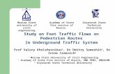 Study on Foot Traffic Flows on Pedestrian Routes In Underground Traffic System