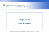 Chapter 11 The Abdomen
