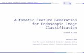 Automatic Feature Generation for Endoscopic Image Classification