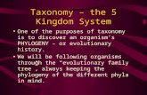 Taxonomy – the 5 Kingdom System