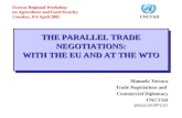 THE PARALLEL TRADE NEGOTIATIONS: WITH THE EU AND AT THE WTO