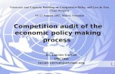 Competition audit of the economic policy making process