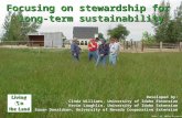 Focusing on stewardship for  long-term sustainability