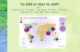 To GM or Not to GM? By:  Francesca Trianni, Ya’arah Pinhas, Cecilia Hackerson and Ben Barczewski