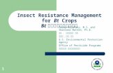 Insect Resistance Management for  Bt  Crops Bt 作物的昆虫抗药性管理
