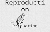 Reproduction a Dr.   Production