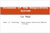 Diseases of the Respiratory System Lu hua