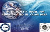 WATER QUALITY MODEL FOR AGUAMILPA AND EL CAJON DAMS