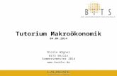 Tutorium Makroökonomik 04.04.2014