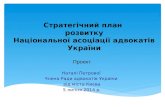 Стратегічний  план  розвитку Національної асоціації адвокатів України