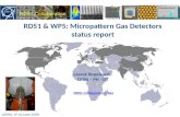 RD51  & WP5: Micropattern Gas  Detectors status report Leszek Ropelewski CERN – PH - DT