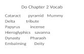Do Chapter 2 Vocab