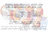 Heavy Ion Physics with the CMS Experiment at the LHC