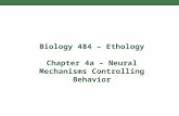 Biology 484 – Ethology Chapter 4a – Neural Mechanisms Controlling Behavior