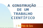 A CONSTRUÇÃO  DE UM TRABALHO CIENTÍFICO