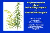 Psykiske lidelser blandt behandlingssøgende cannabismisbrugere