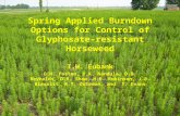 Spring Applied Burndown Options for Control of Glyphosate-resistant Horseweed