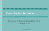 Data Display Techniques