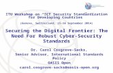 Securing the Digital Frontier: The Need For Robust Cyber-Security Standards
