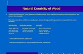 Natural Durability of Wood