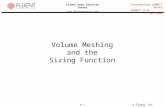Volume Meshing and the Sizing Function