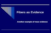 Fibers as Evidence