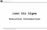 Lean Six Sigma Executive Introduction
