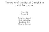 The Role of the Basal Ganglia in Habit Formation
