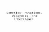 Genetics: Mutations, Disorders, and Inheritance