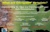 What are Geospatial Metadata?