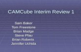 CAMCube Interim Review 1