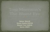 Toni Morrison’s The Bluest Eye