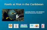 Reefs at Risk in the Caribbean