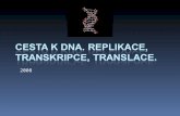 Cesta k DNA. Replikace, transkripce, translace.