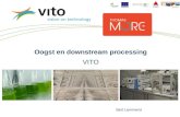 Oogst en downstream processing VITO