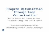 Program Optimization Through Loop Vectorization