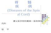 脊    髓    疾    病 (Diseases of the Spinal Cord)