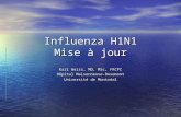 Influenza H1N1 Mise à jour