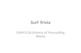 Surf Trivia