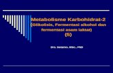 Metabolisme Karbohidrat-2 ( Glikolisis, Fermentasi alkohol dan fermentasi asam laktat) (5)