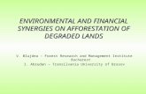 ENVIRONMENTAL AND FINANCIAL SYNERGIES ON AFFORESTATION OF DEGRADED LANDS