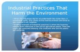 Industrial Practices That Harm the Environment