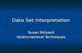 Data Set Interpretation