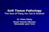 Soft Tissue Pathology The Sort of Thing You Get in Exams!