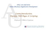 ITEC 334 Fall 2010 Online (Business) Application Development