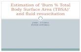 Estimation of ‘Burn % Total Body Surface Area (TBSA)’ and fluid resuscitation