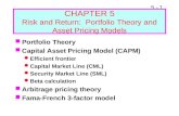 CHAPTER 5 Risk and Return:  Portfolio Theory and Asset Pricing Models