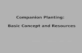 Companion Planting:  Basic Concept  a n d  Resources