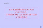 LA REPRÉSENTATION VISUELLE :  CHIMIE DE LA PERCEPTION VISUELLE